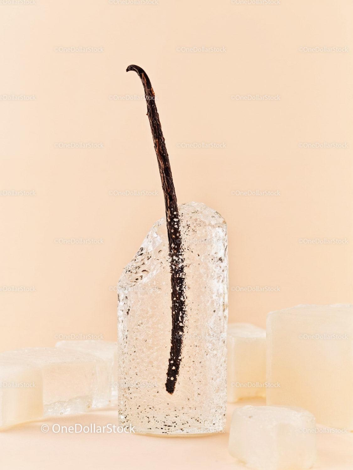 Vanilla Bean Embedded in Clear Ice Cube Close Up