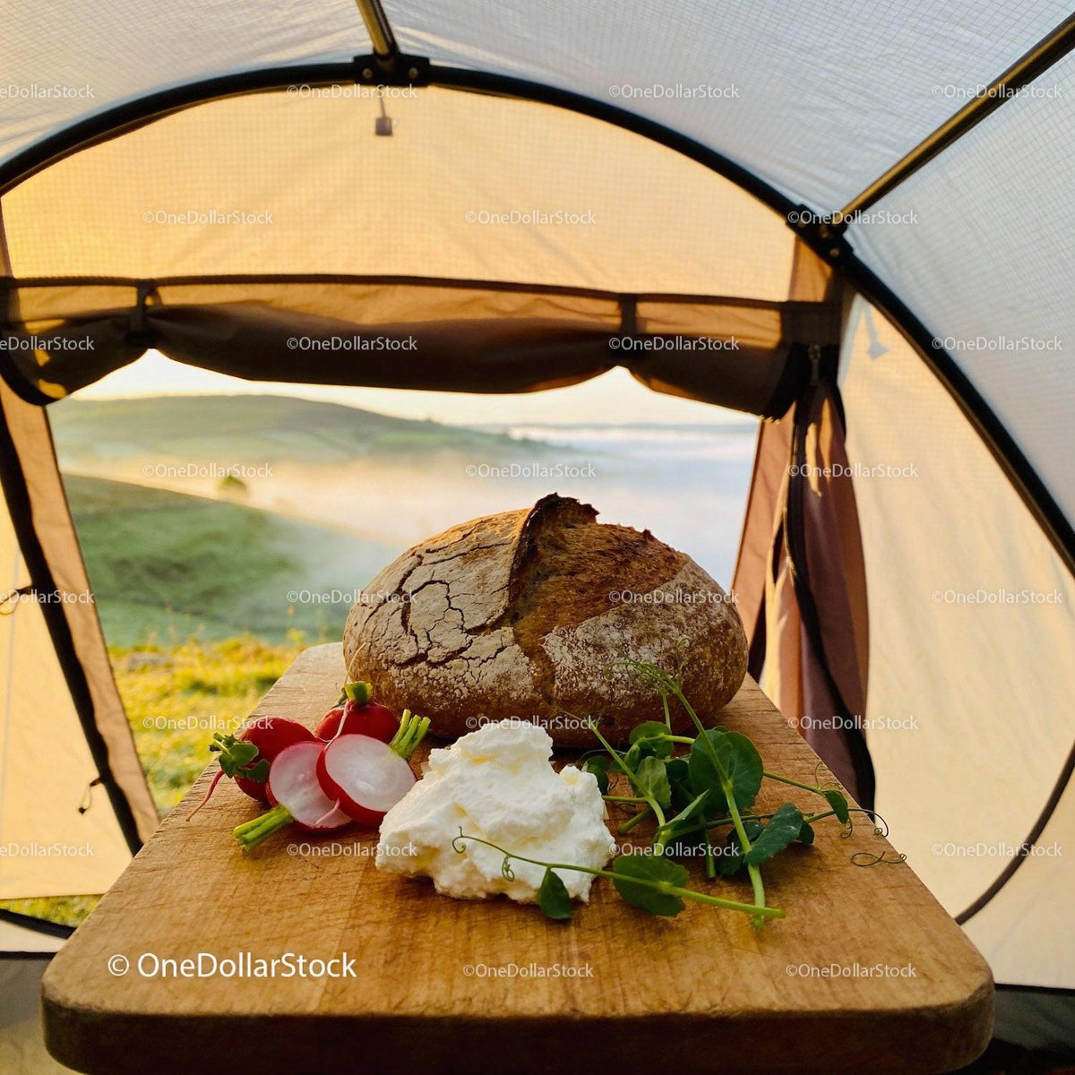 Fresh rustic bread with creamy cheese and radishes