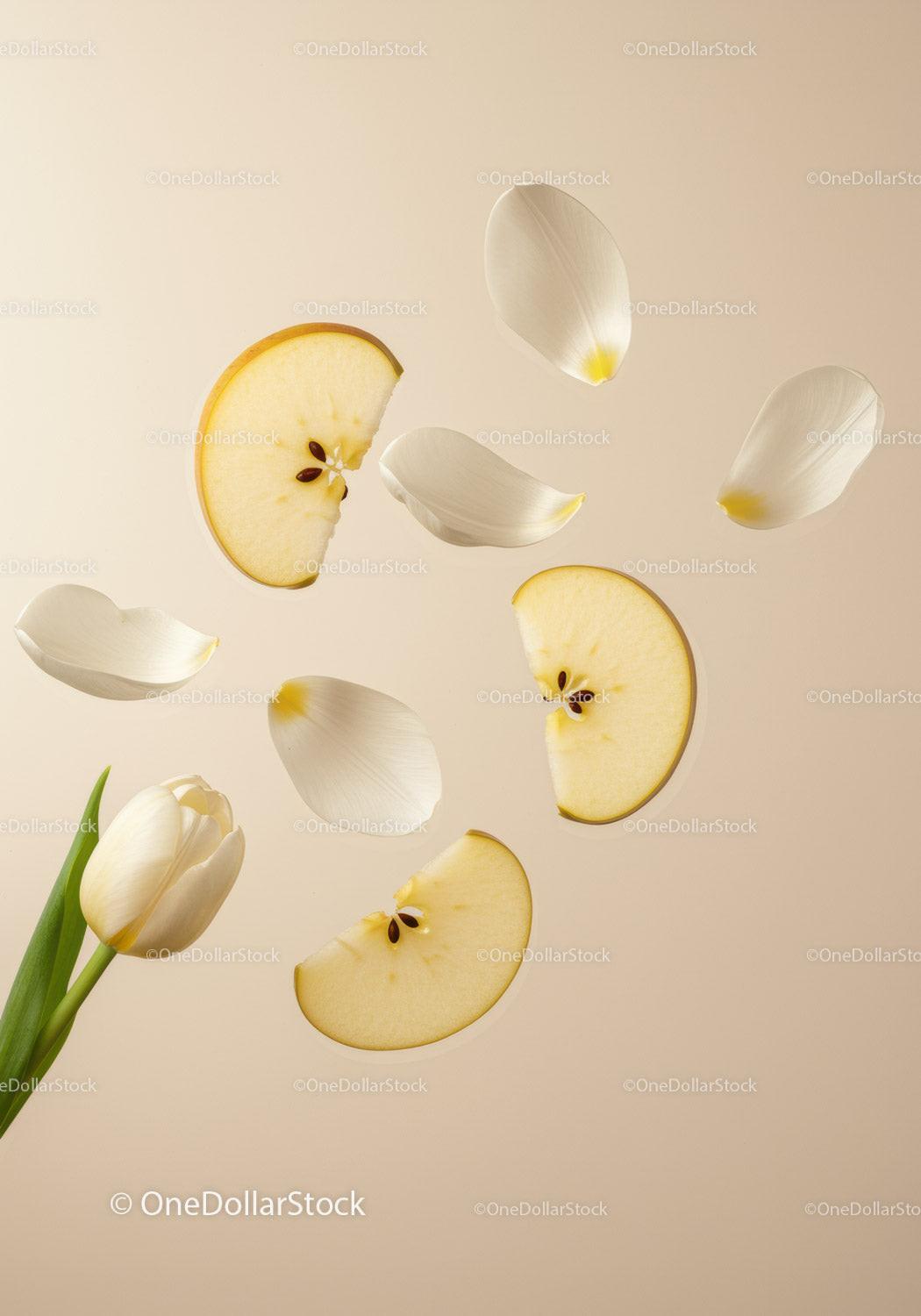 White tulip with floating apple slices and petals