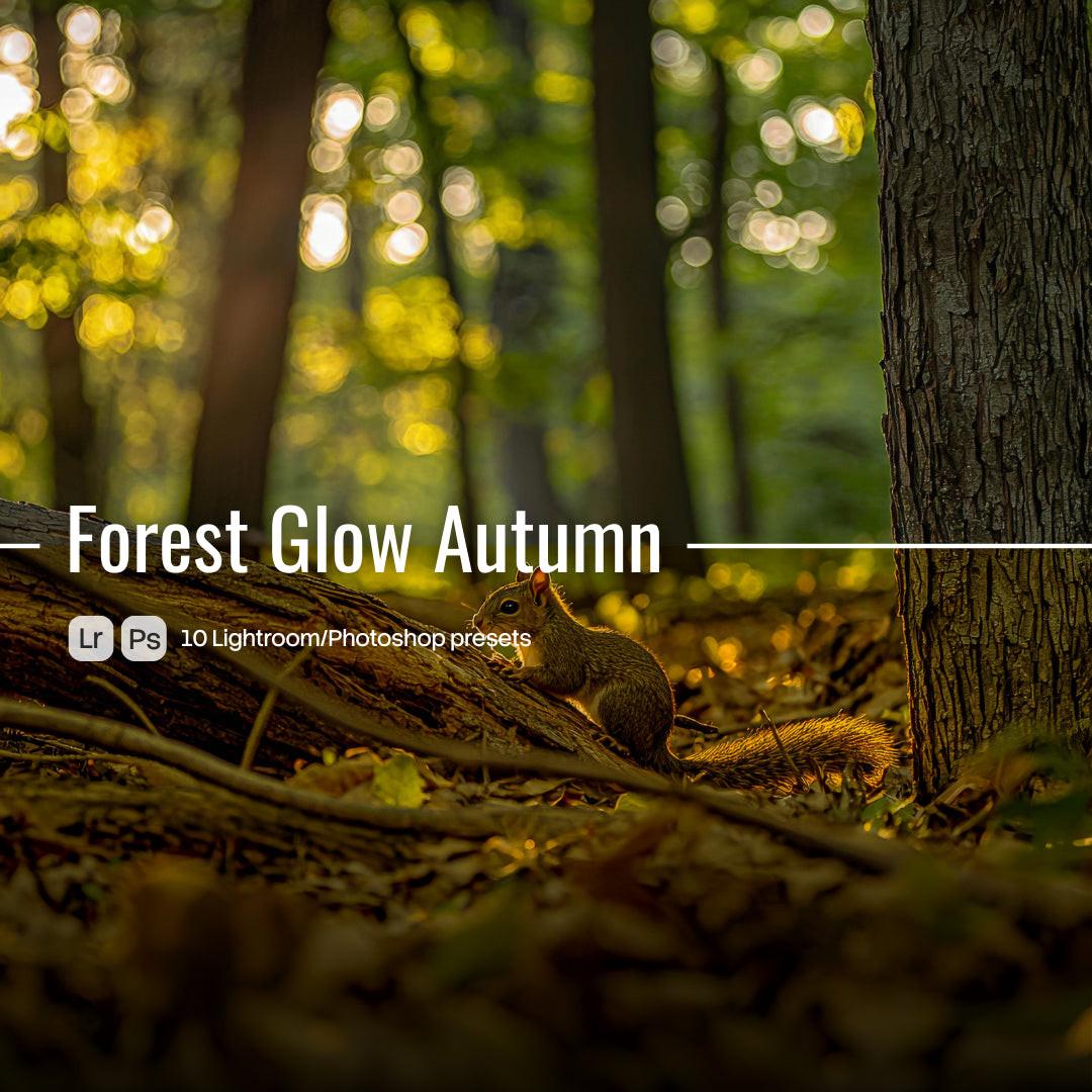 Forest Glow Autumn Lightroom presets cover preview