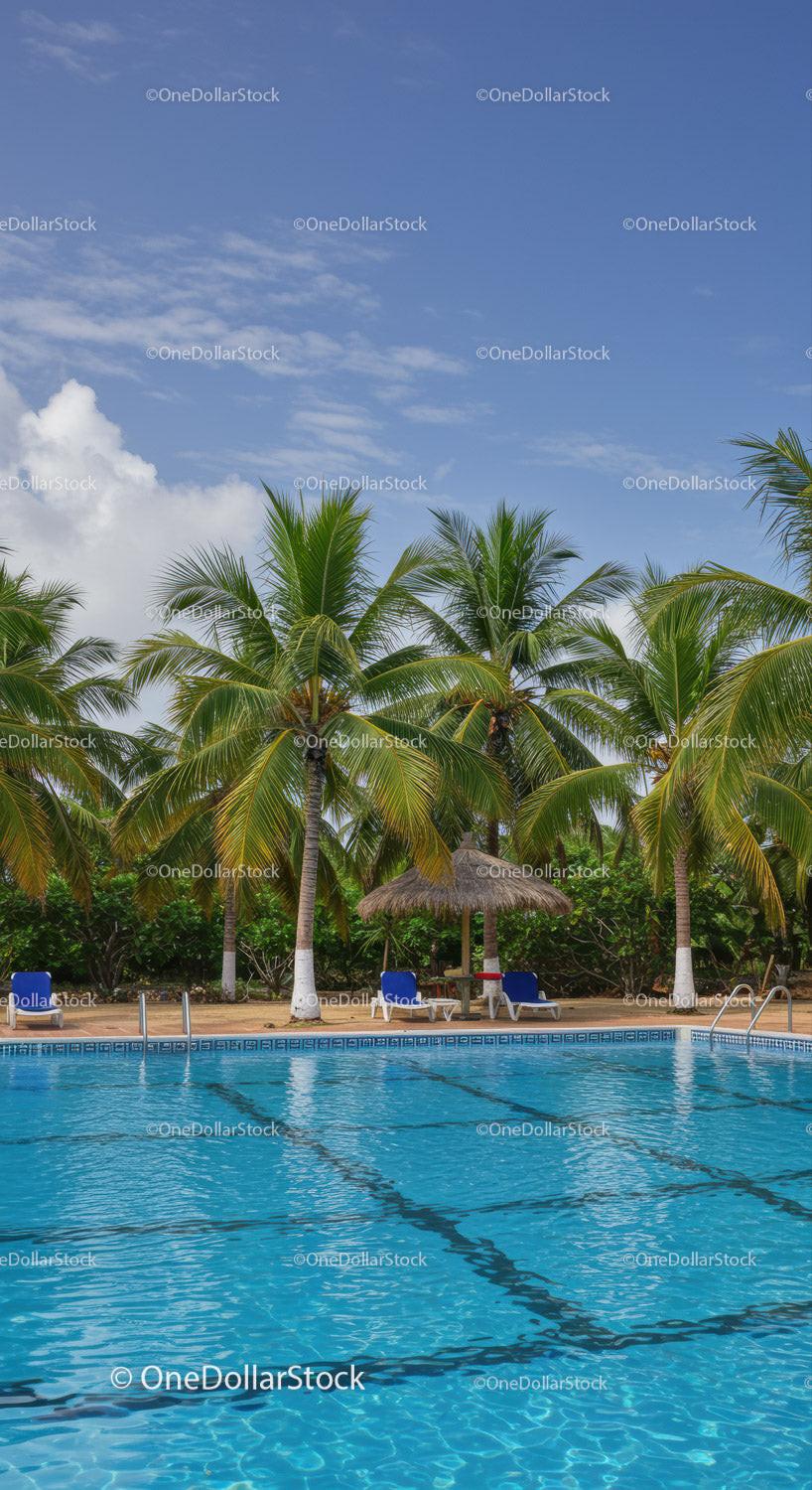 Tropical Palm Trees and Outdoor Pool Scene with Blue Sky