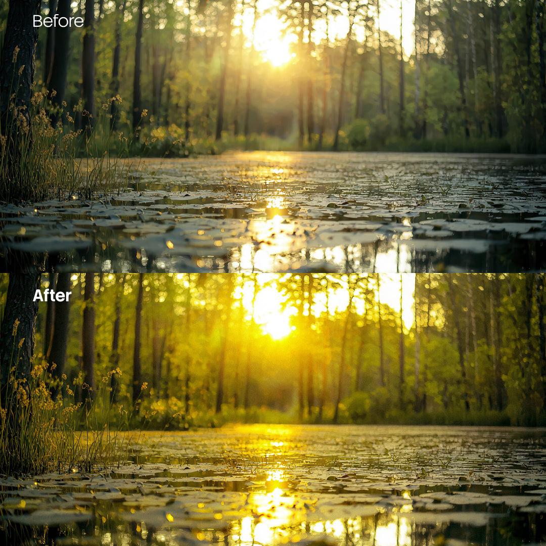 Forest Warm Glow Grain XMP presets color grading preview