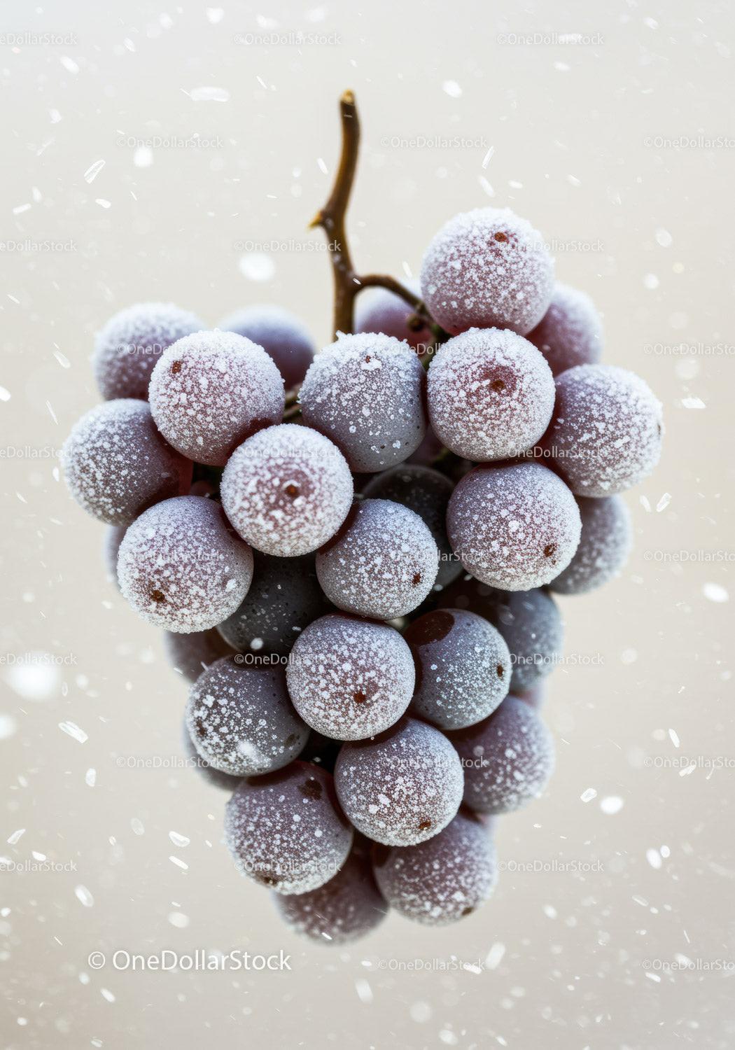 Frozen purple grape cluster with frost crystals
