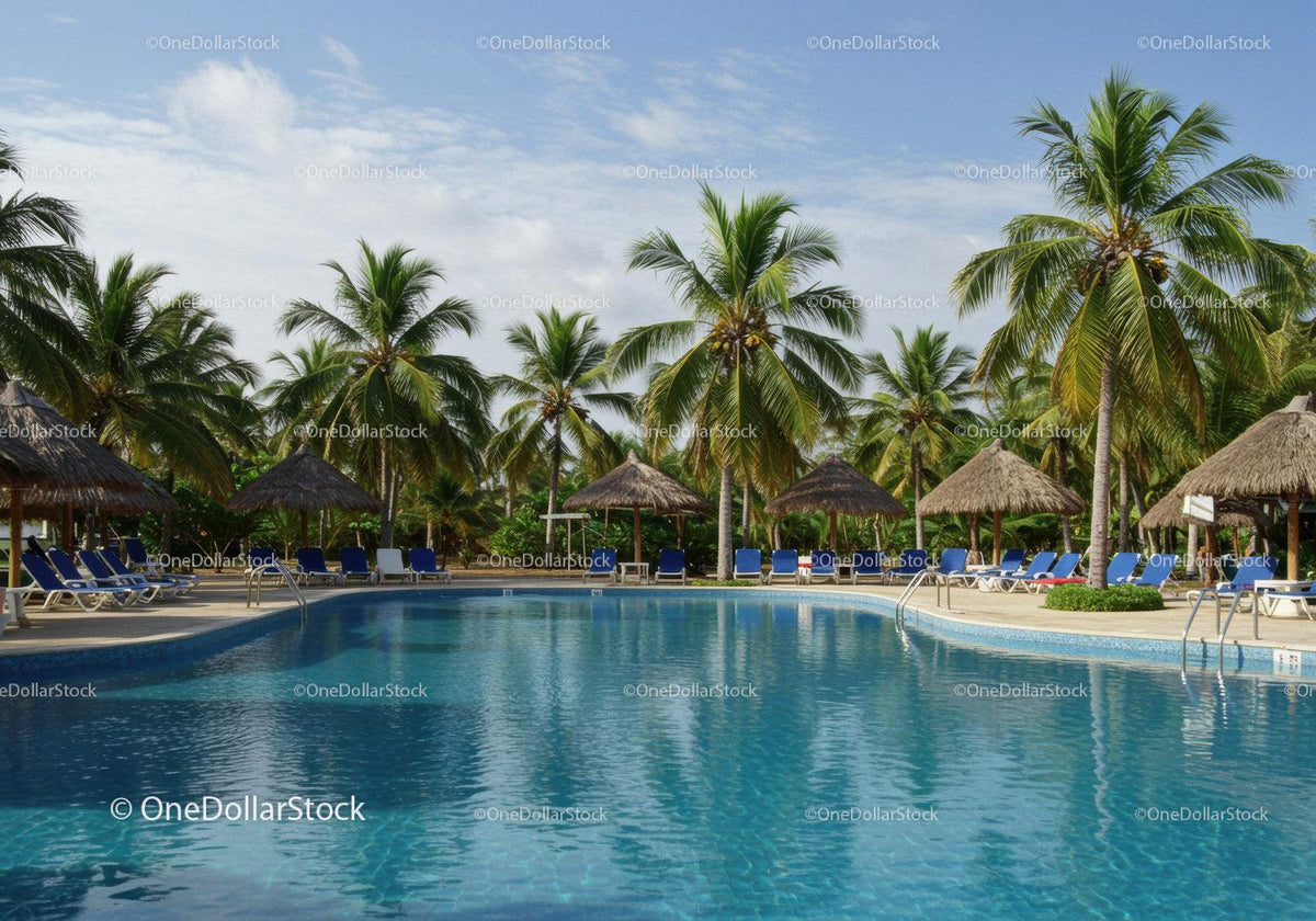 Relaxing Tropical Pool Scene with Palm Trees and Sunbeds