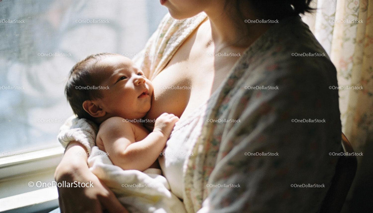 Mother lovingly breastfeeding newborn baby near window
