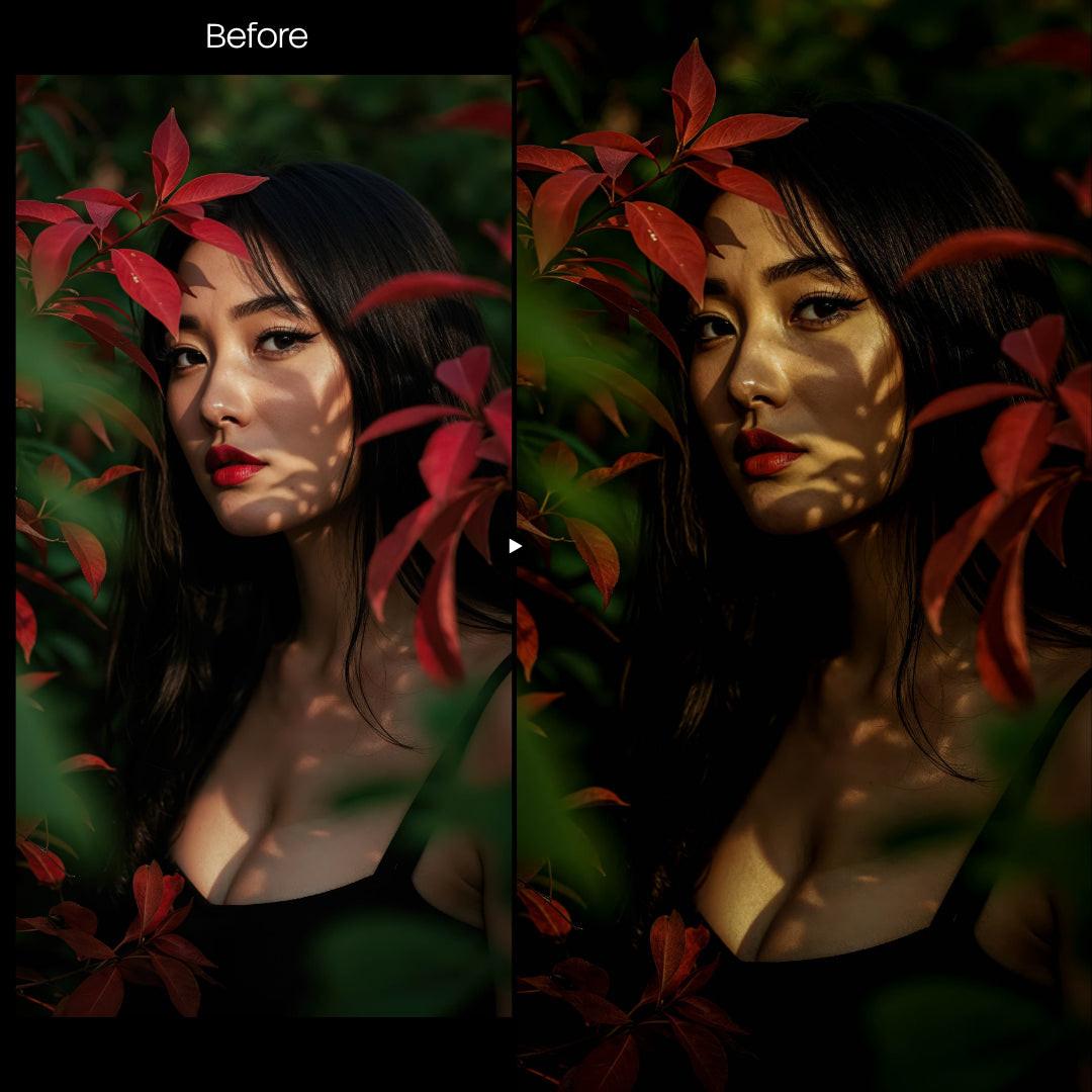 Dark Night Portrait XMP presets color grading preview