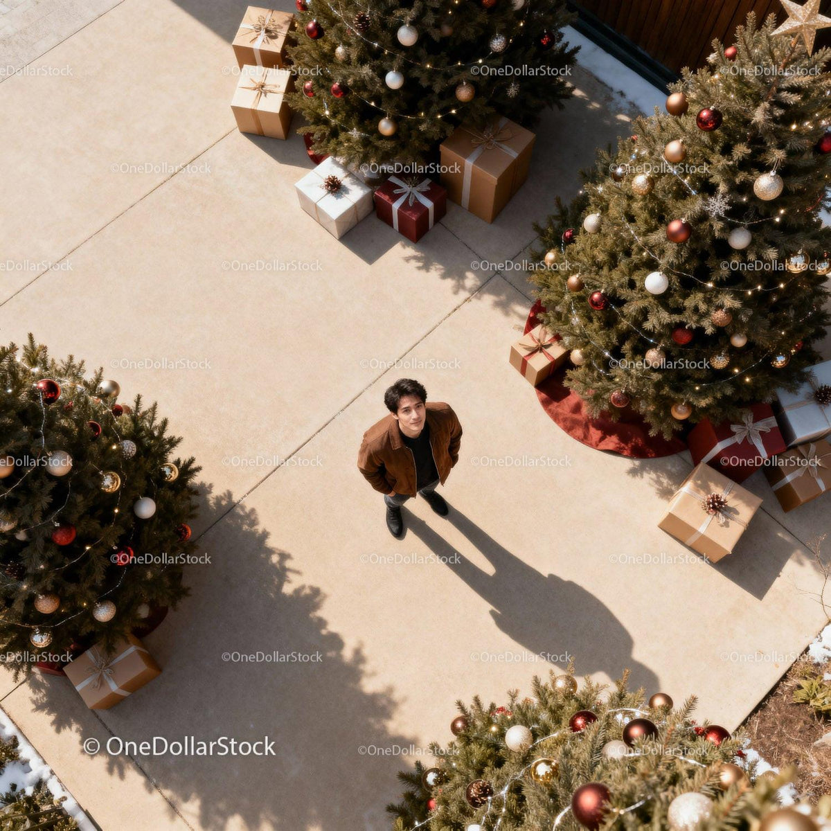Young man standing among decorated Christmas trees outdoors