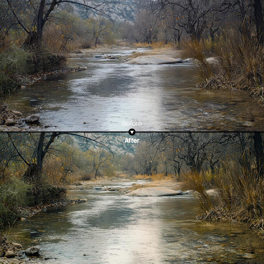 color grading preview with Cozy Autumn Leaves Palette LUT Pack