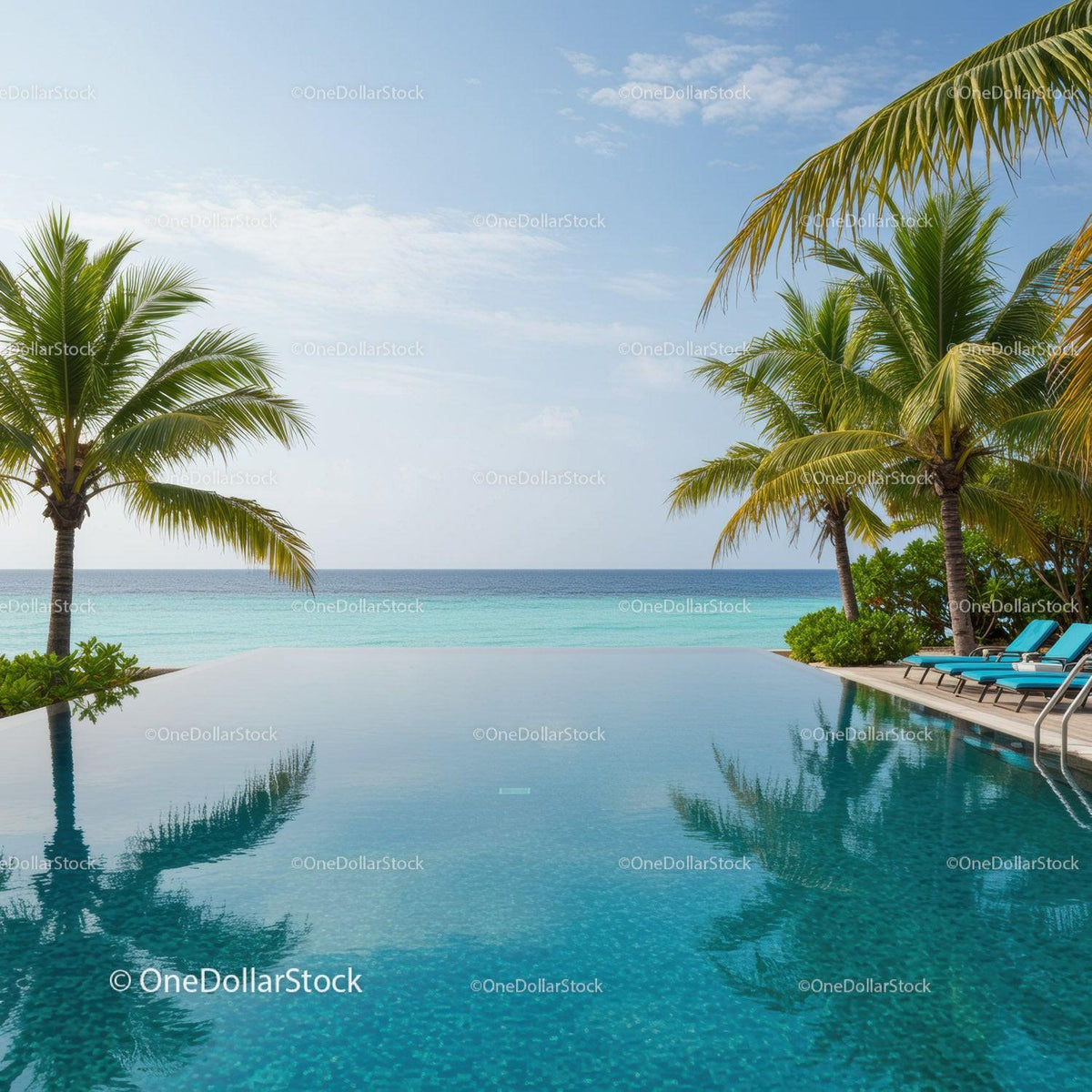 Tropical Beach Scene with Pool and Palm Trees with Ocean View