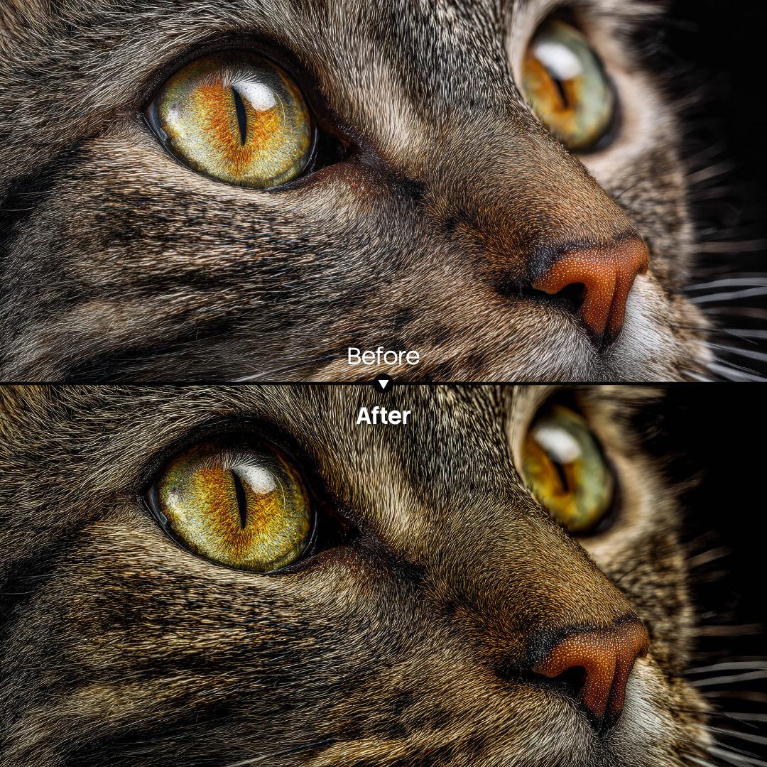 Before and after Shadowy Portrait Lightroom preset edit