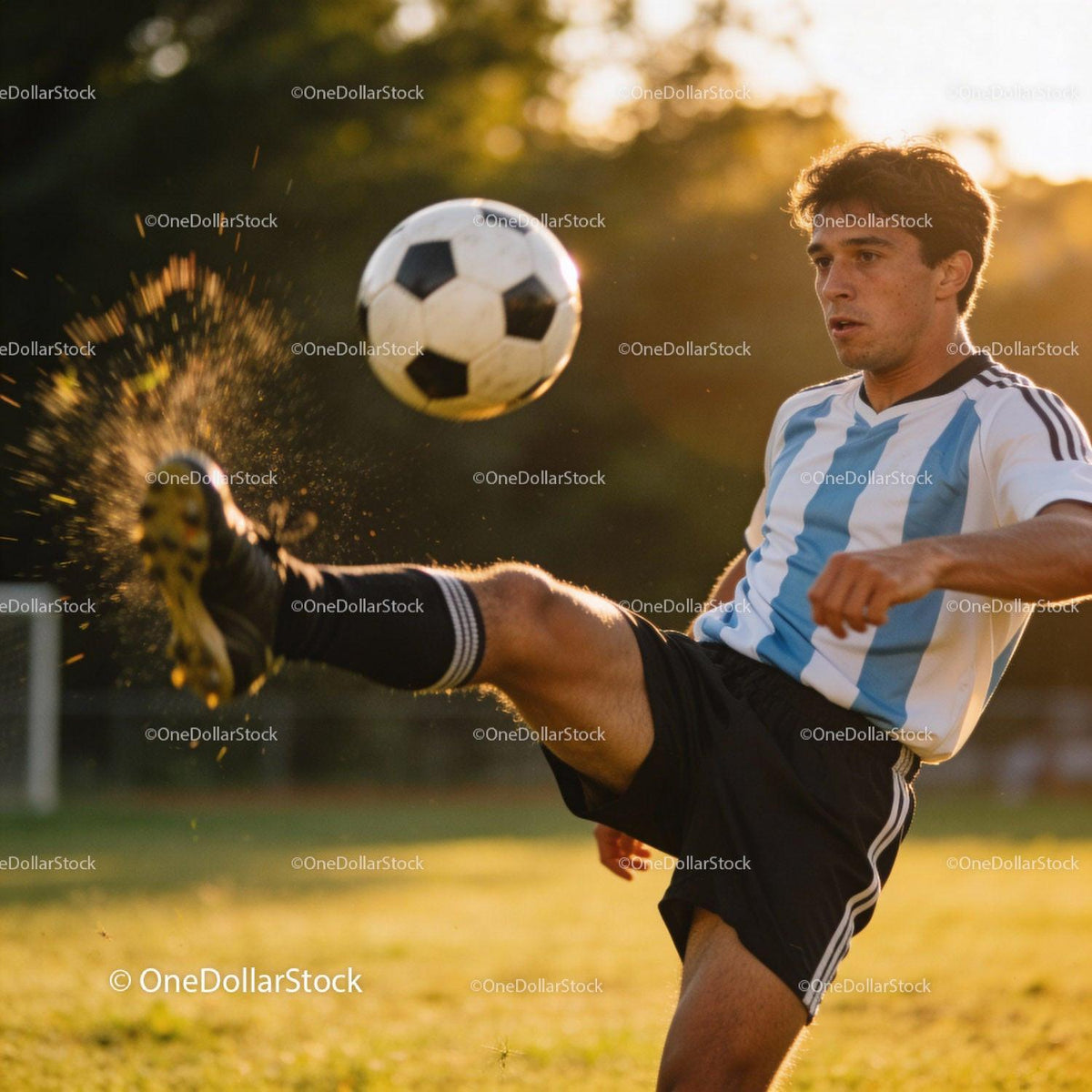 Focused Soccer Player Kicking Ball During Golden Hour