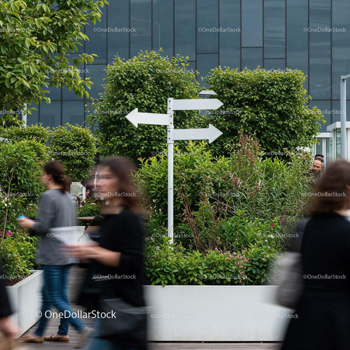 Urban garden with directional signpost amidst city bustle JPG Mockup Image preview