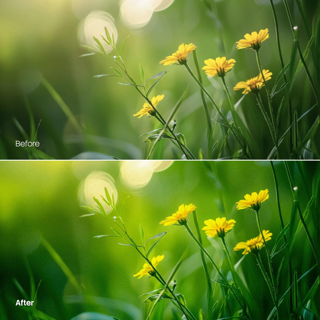 Before and after Dreamy Woodland LUT Pack effect
