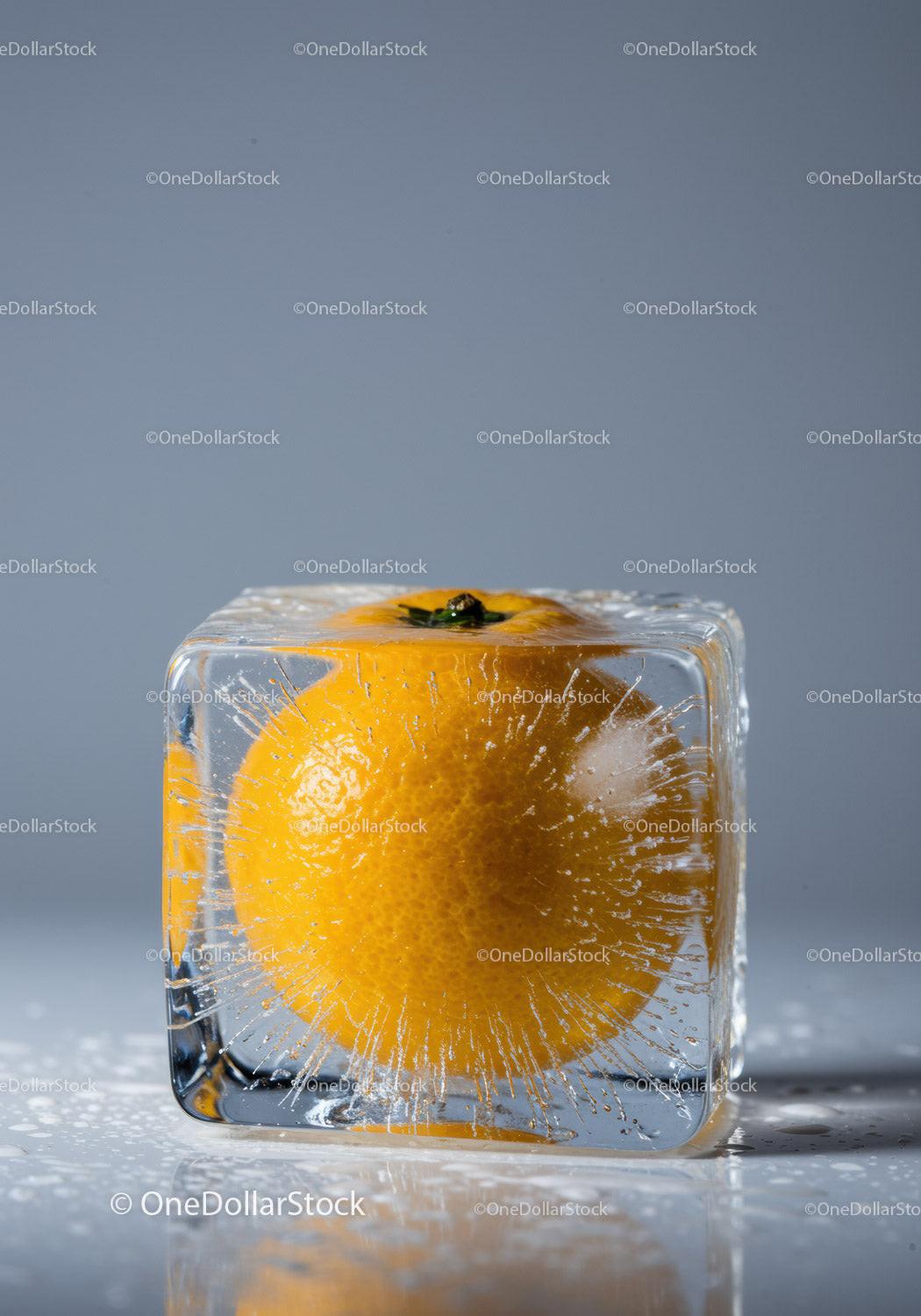 Fresh Orange Encased Inside Clear Ice Cube