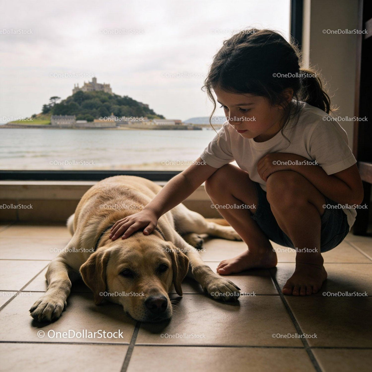 Young girl gently petting her Labrador by the window
