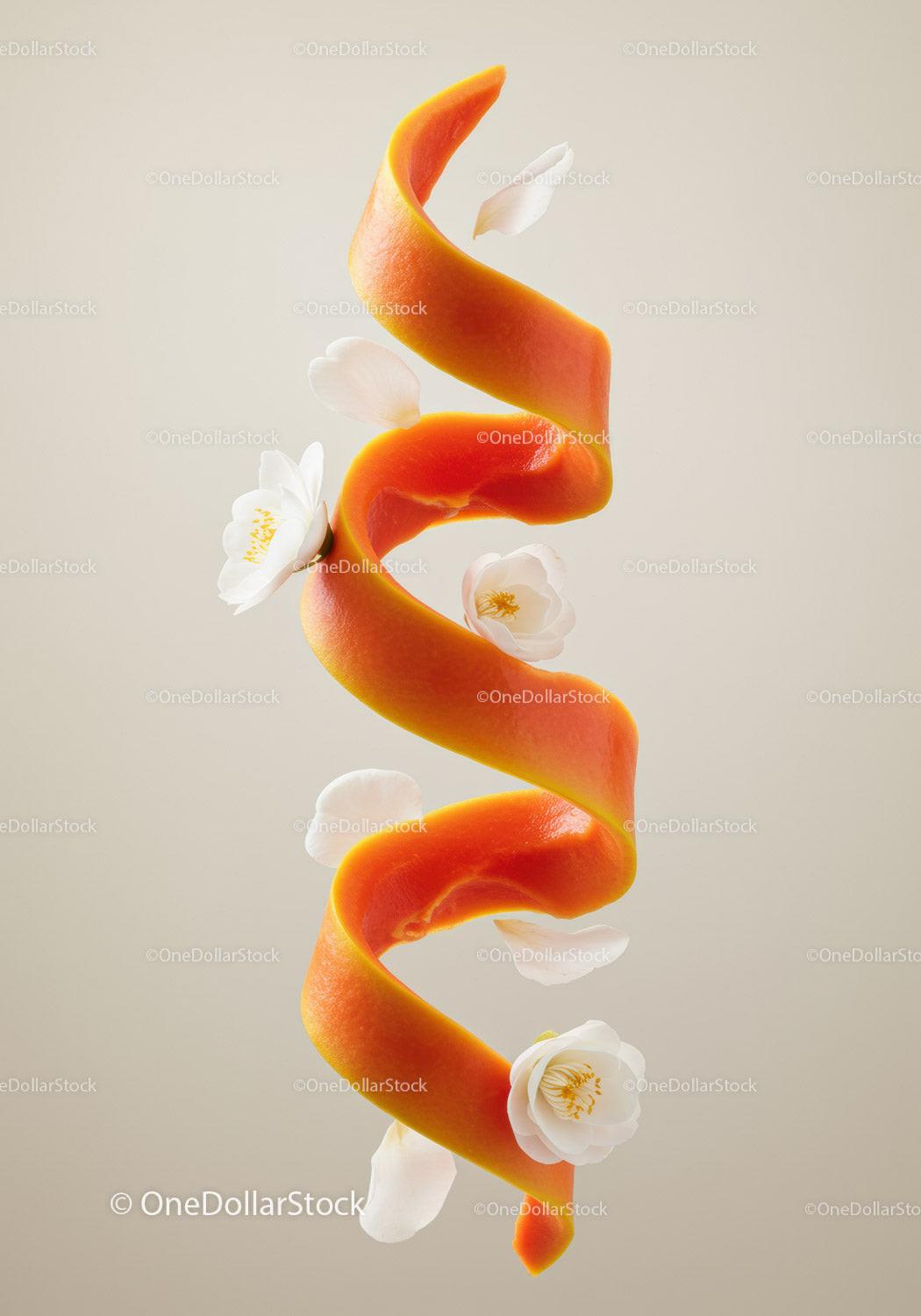 Spiral of Citrus Peel with Delicate White Flowers