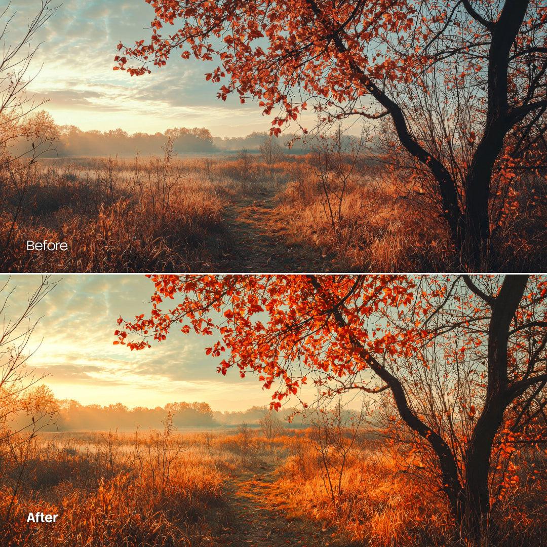 Golden Autumn Light XMP presets color grading preview