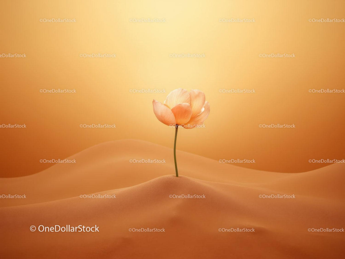 Delicate flower blossoming in warm sandy landscape