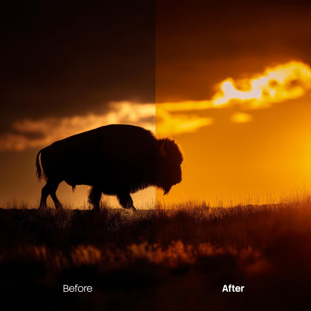 color grading preview with Sunset LUT Pack