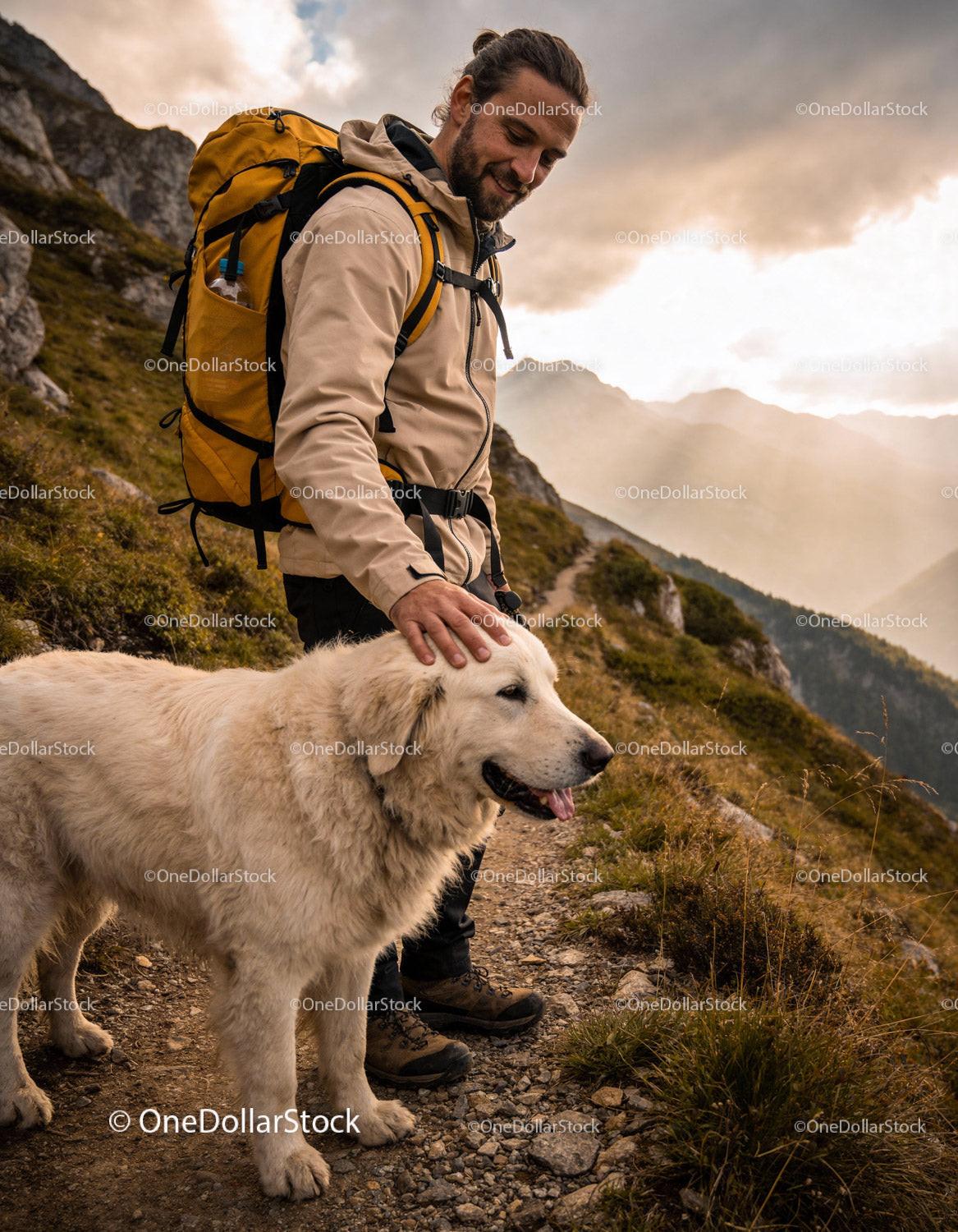 Hiker Enjoying Mountain Trek with Friendly Large Dog