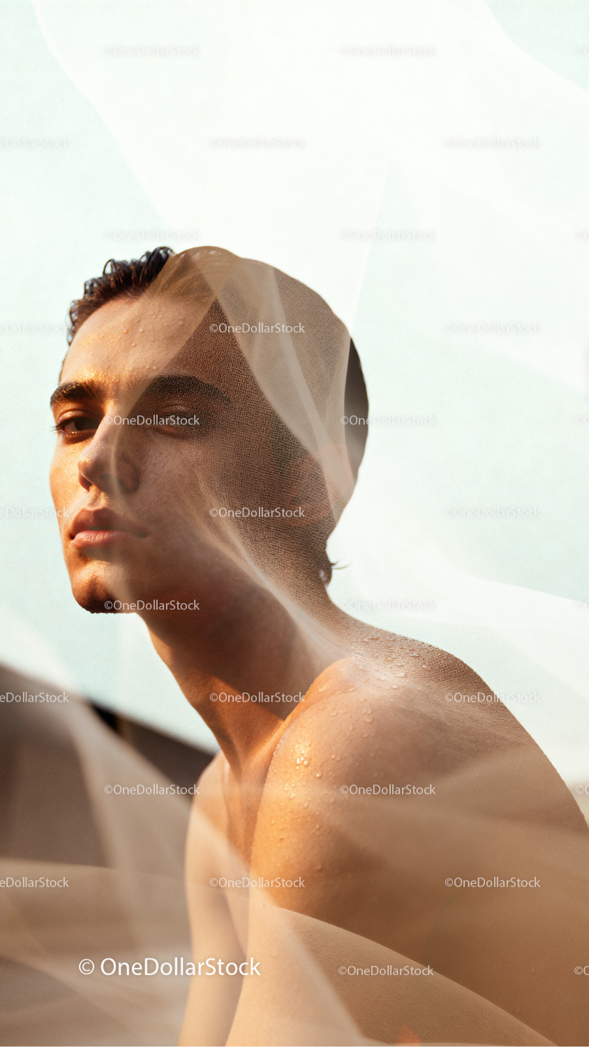 photo editing preview with Tulle Photo Overlays