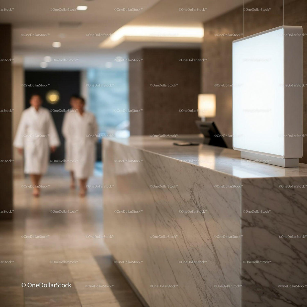 Marble Spa Reception with Guests in White Robes JPG Mockup Image preview