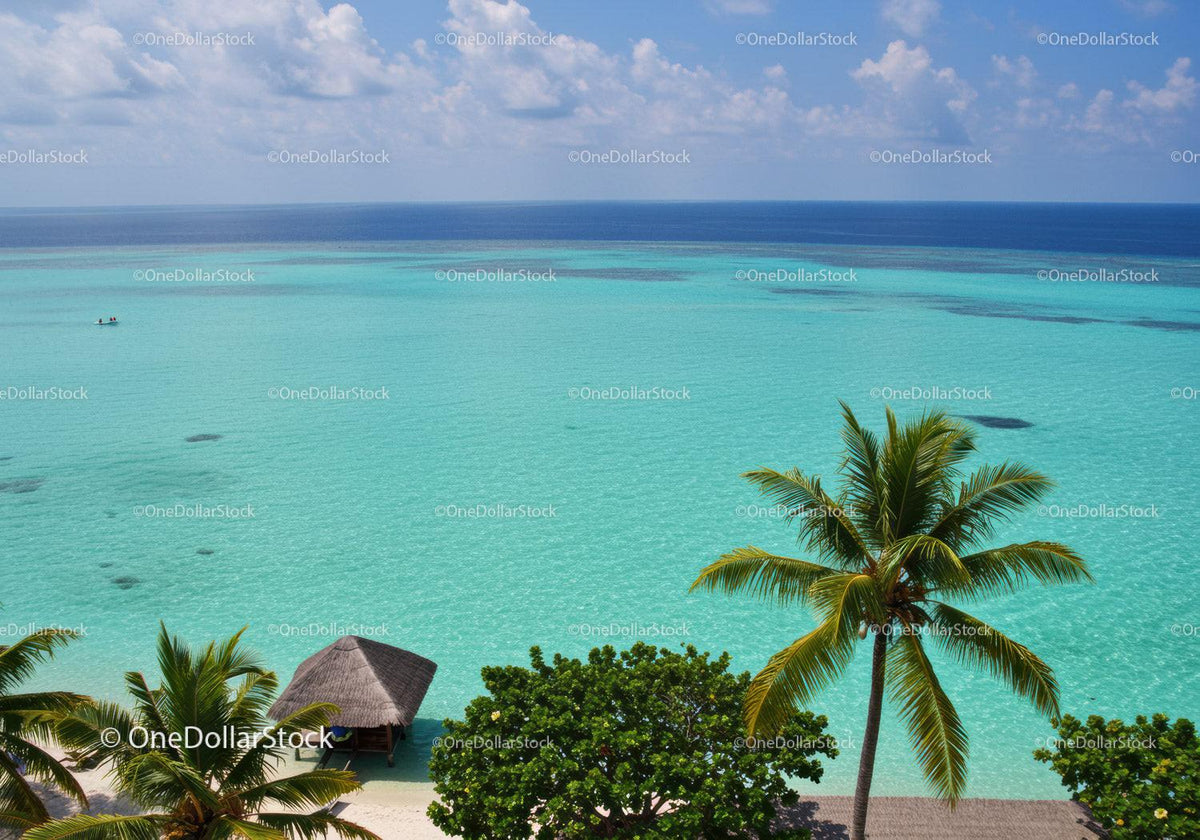 Tropical Beach Scene with Palm Trees and Calming Turquoise Waters