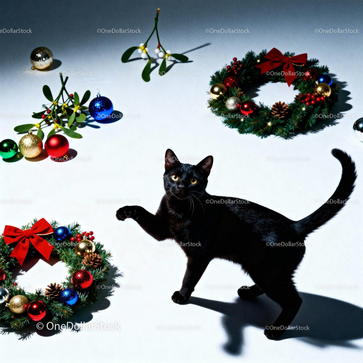 Curious black cat among festive Christmas wreaths