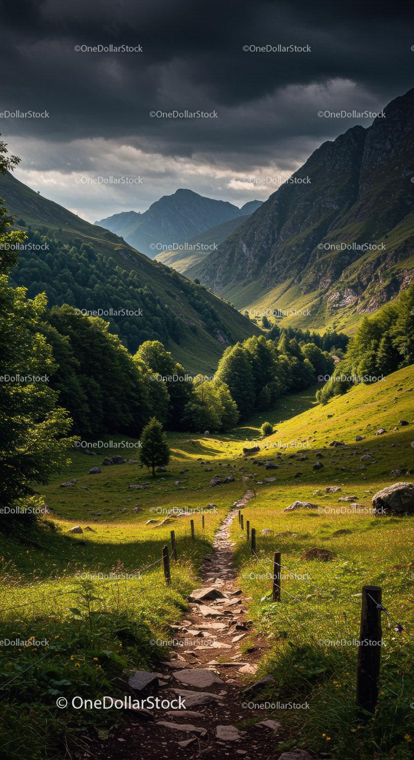Scenic Mountain Valley with Rocky Path and Verdant Forests