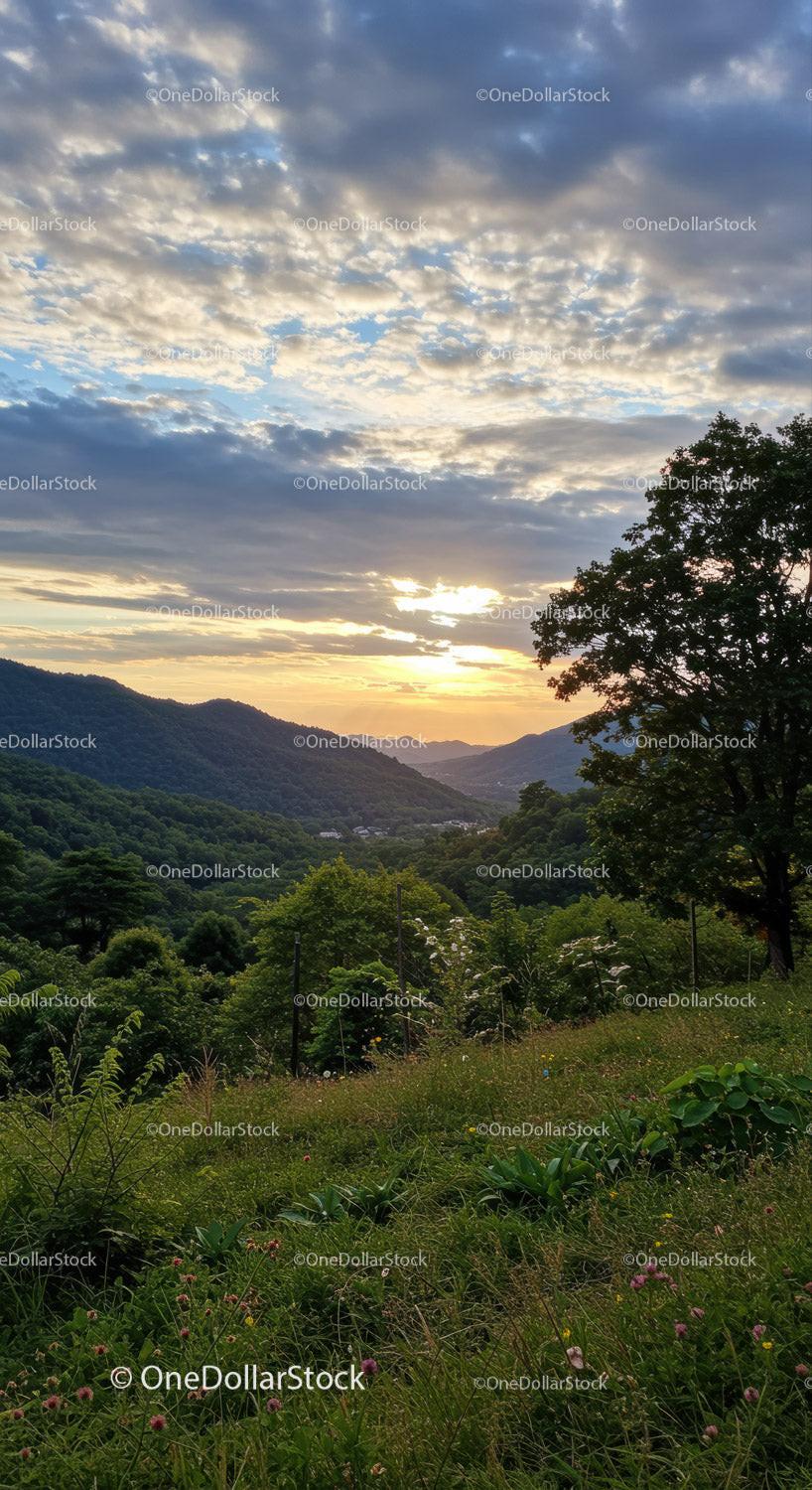 Scenic Sunset Over Green Mountain Valley with Lush Forest