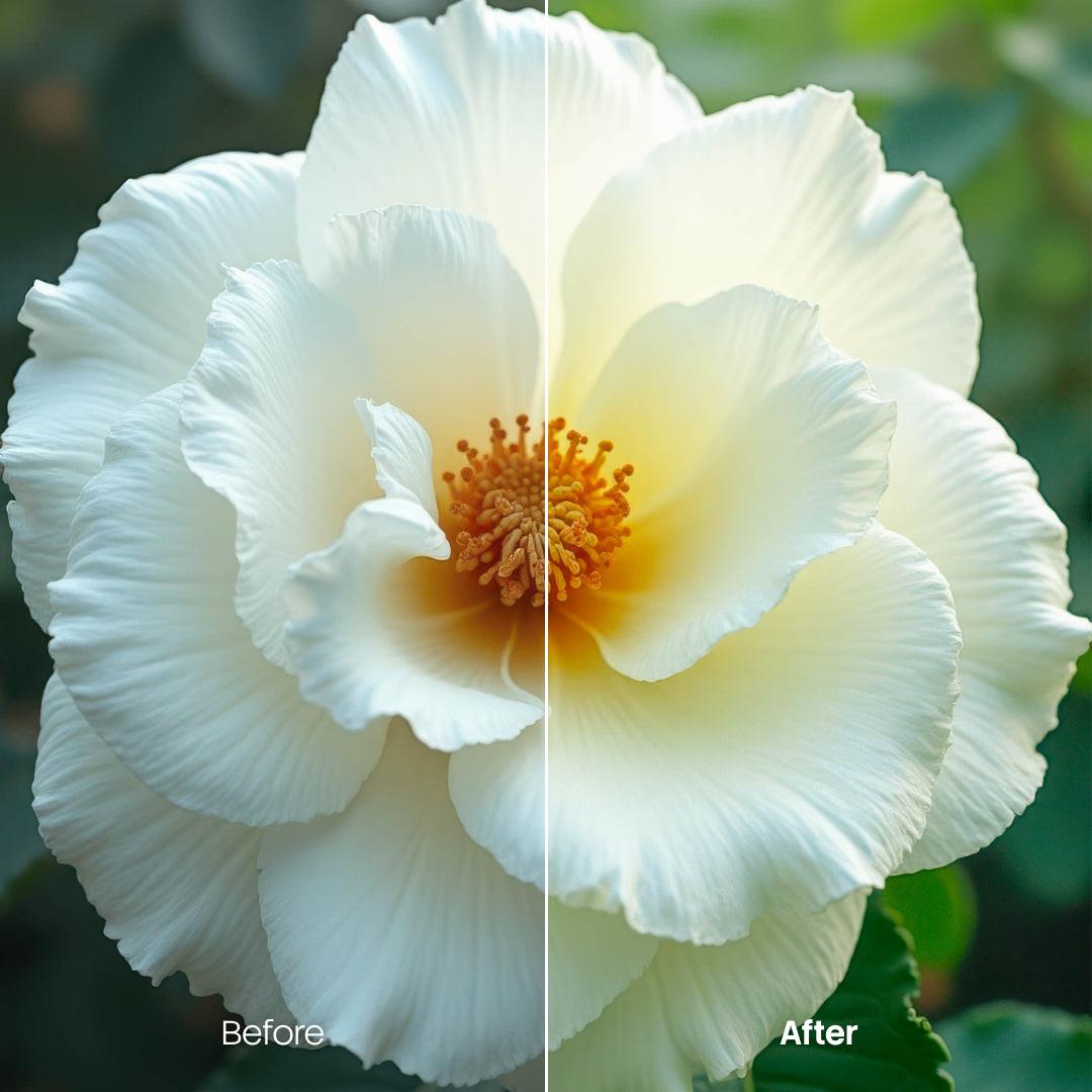 outdoor photography edit with Flower Bloom Lightroom presets