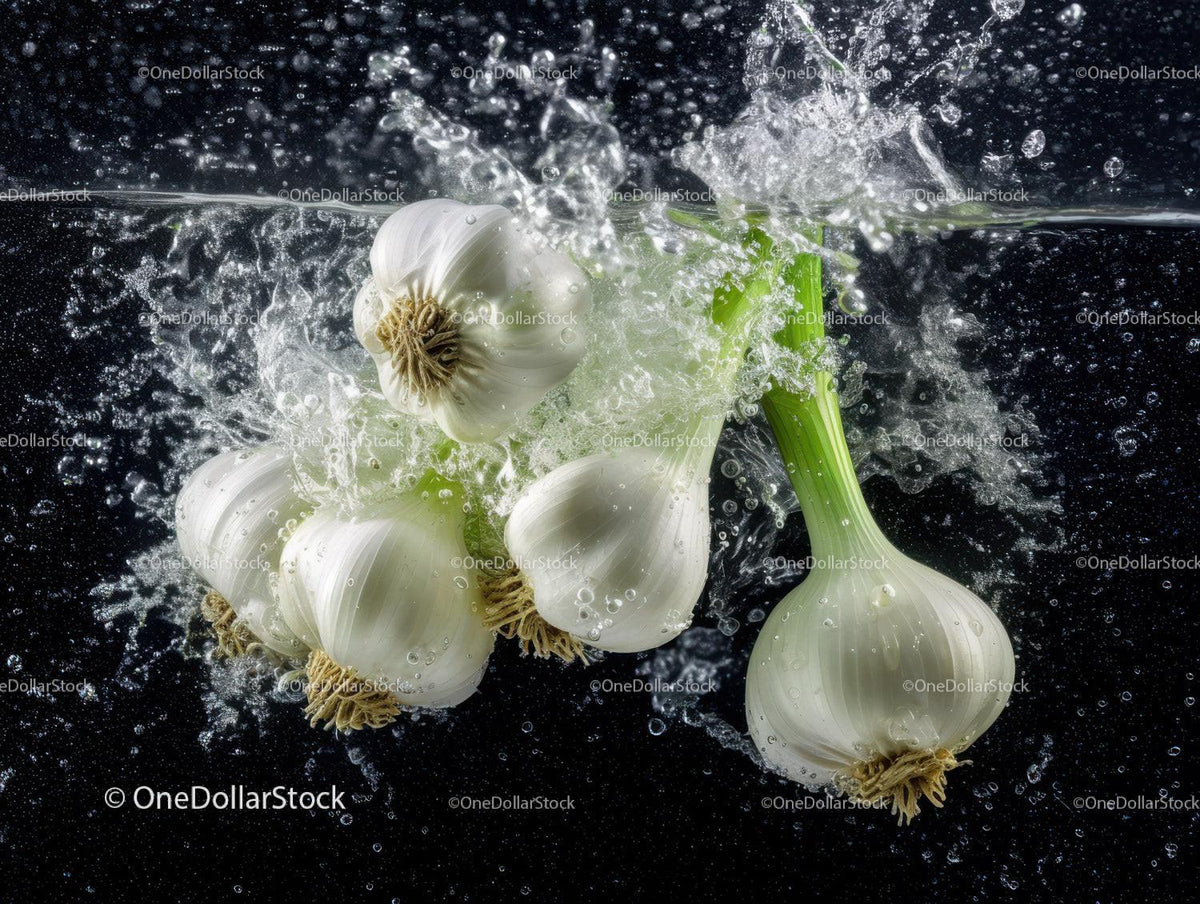 Fresh Garlic Bulbs with Green Stalks in Water for Cooking and Cooking
