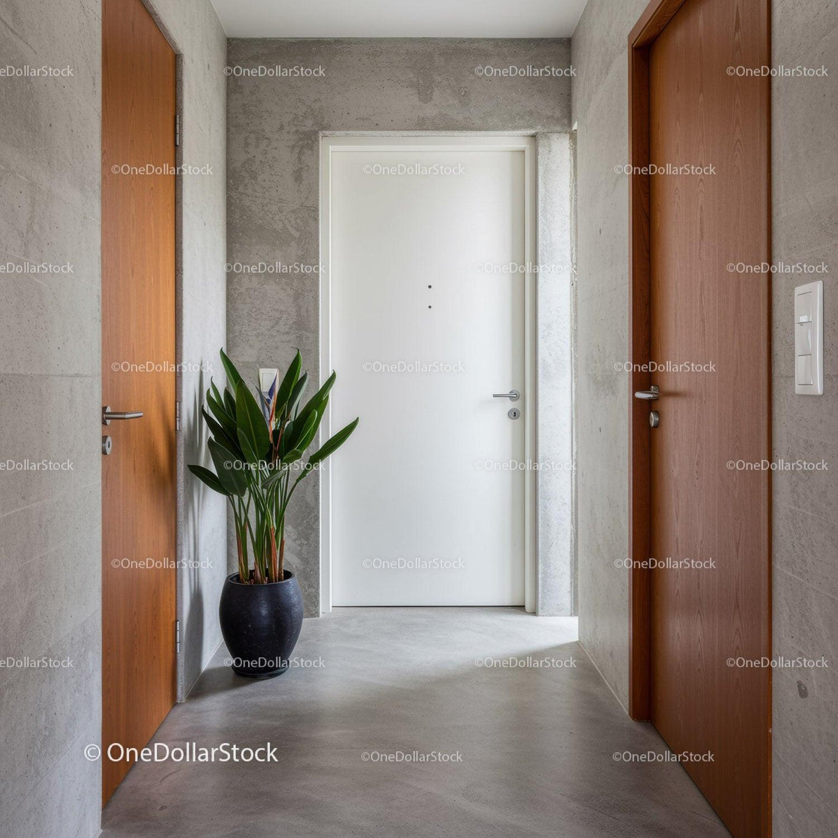 Modern Minimalist Hallway with Wooden Doors and Potted Plant