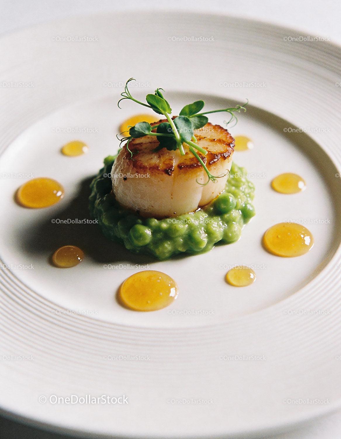 Seared scallop on pea puree with honey droplets
