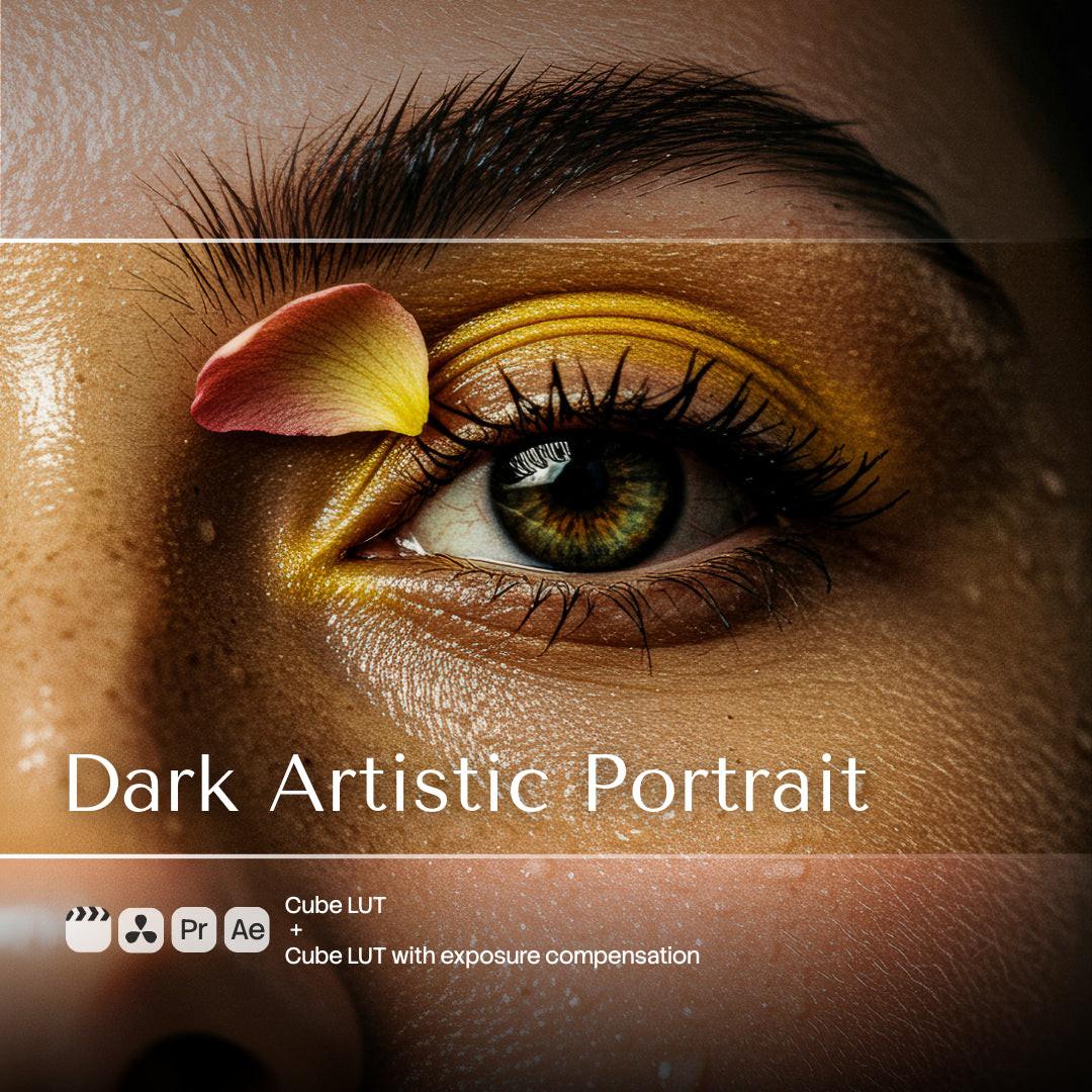 Dark Artistic Portrait LUT Pack preview