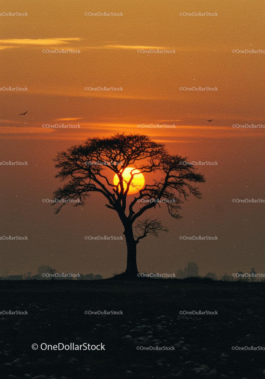 Solitary tree silhouette at vivid orange sunset
