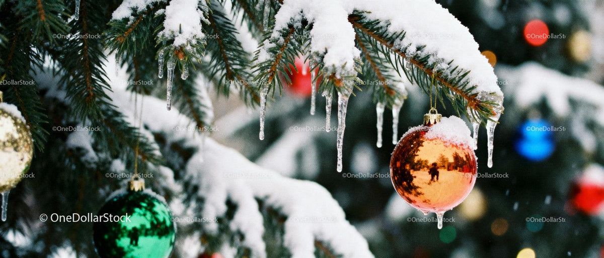 Snow-covered pine branch with colorful Christmas ornaments