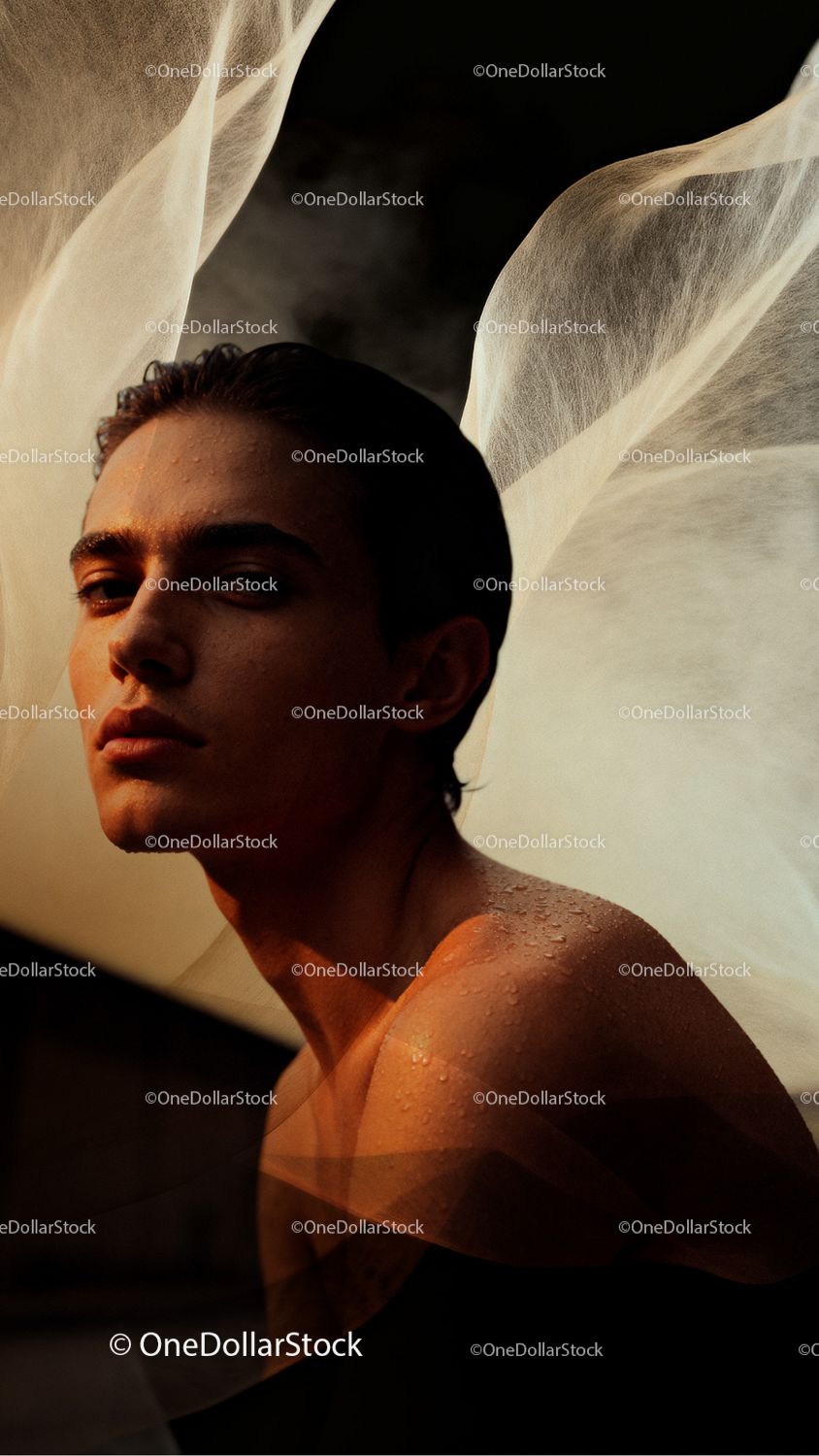 Before and after Tulle Photo Overlays effect