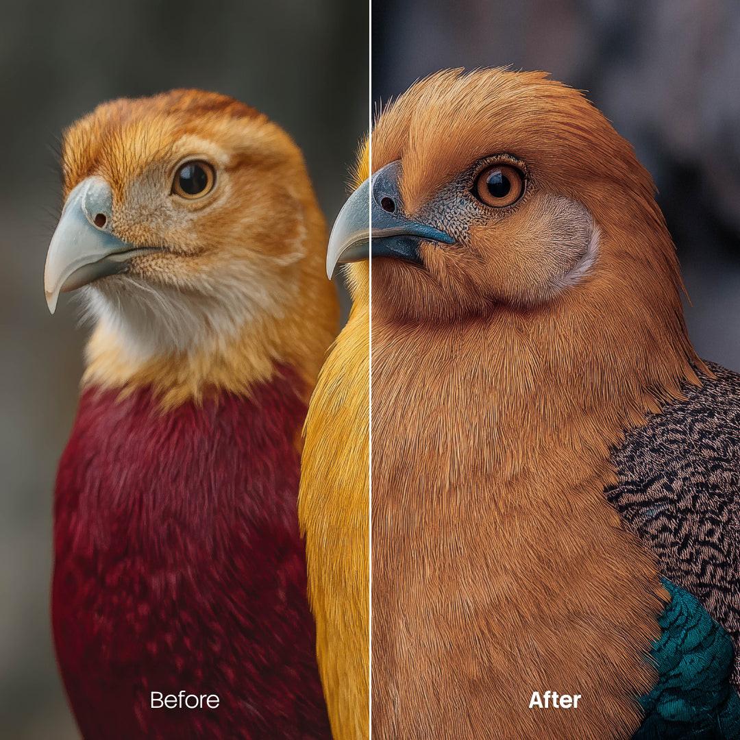 Retro Color Fade Night Presets (10 XMP files)