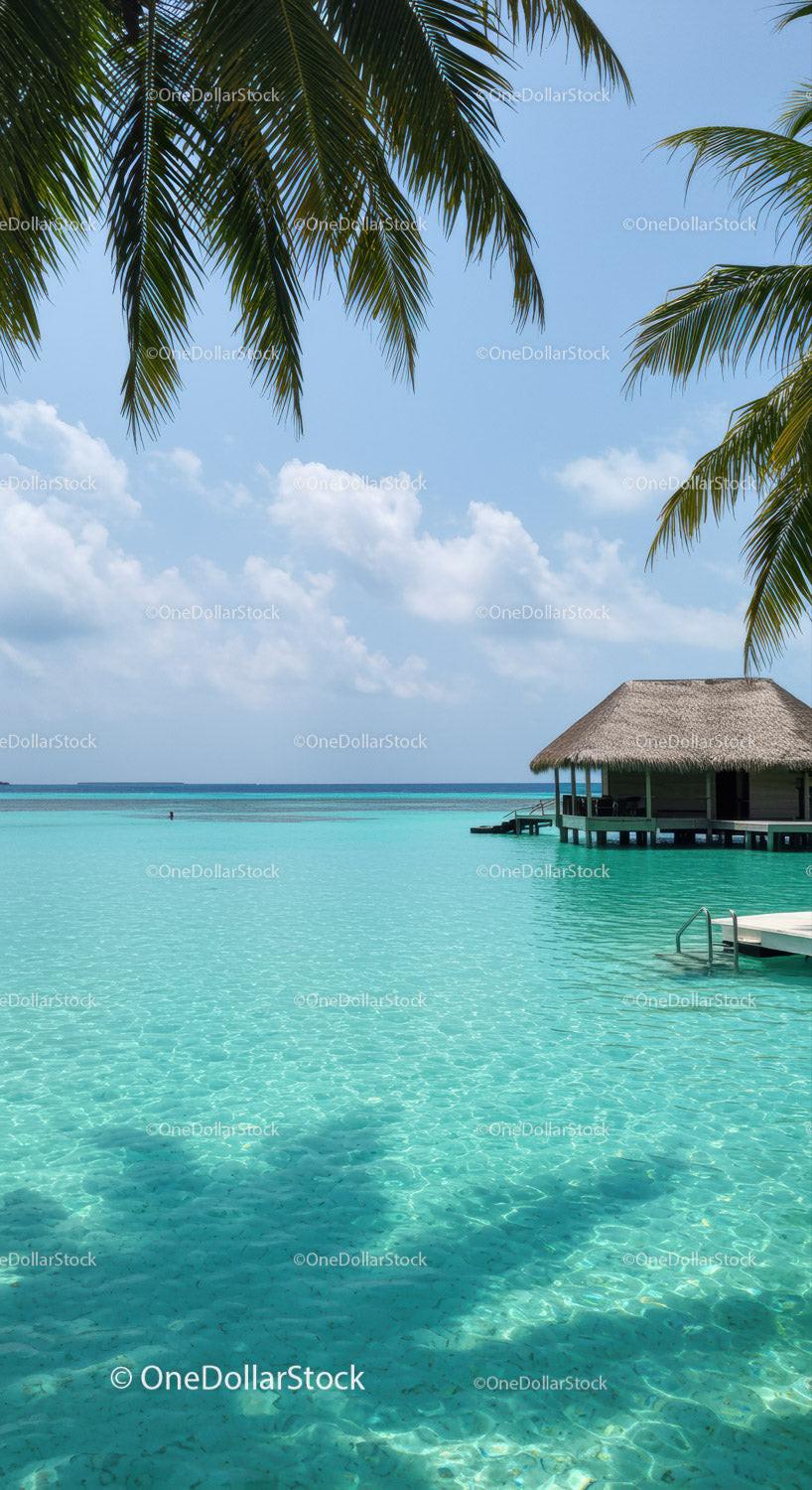 Tropical Beach Paradise With Overwater Bungalow and Palm Trees