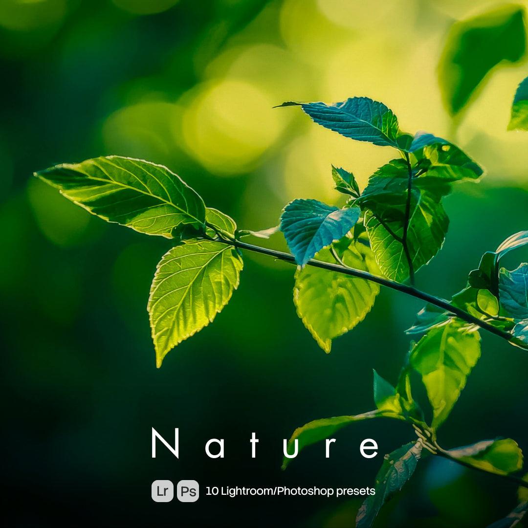 Nature Lightroom presets cover with sunlit green leaves
