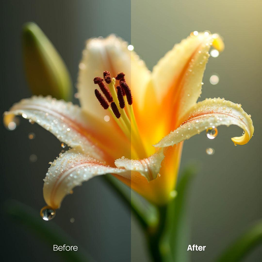 Floral XMP presets color grading preview