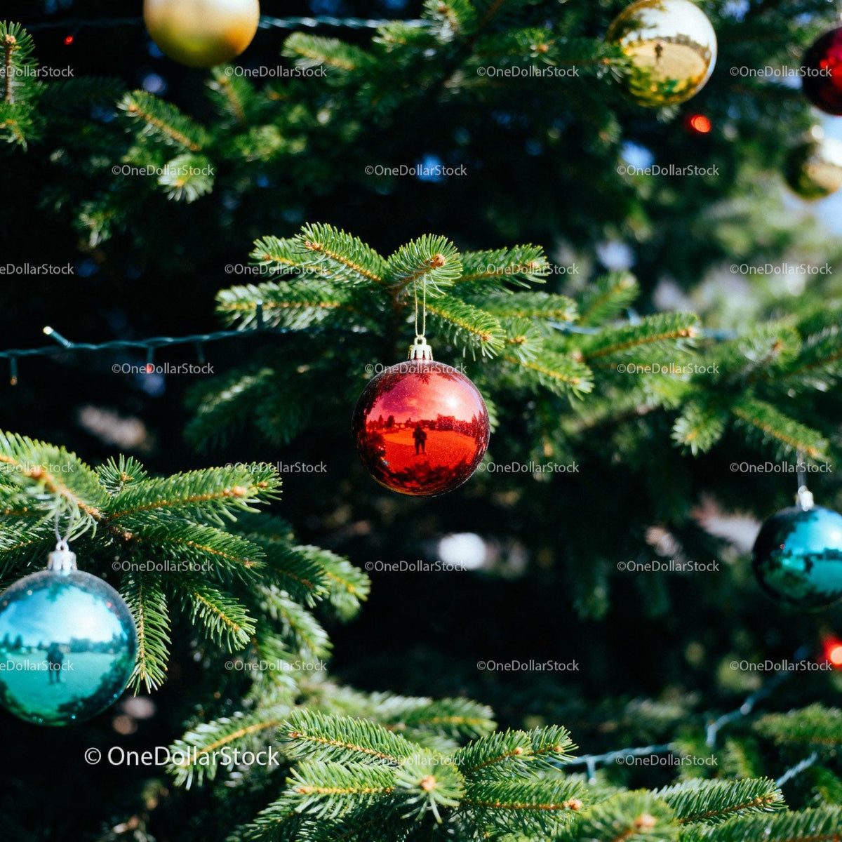 Festive Christmas Tree Branches with Colorful Baubles