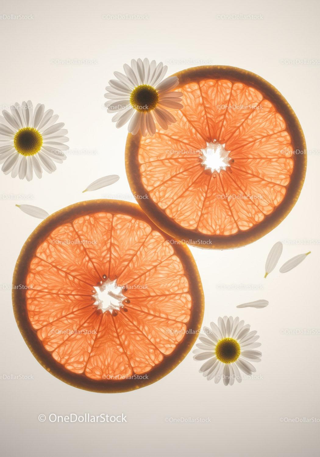 Fresh grapefruit slices with delicate daisies on light