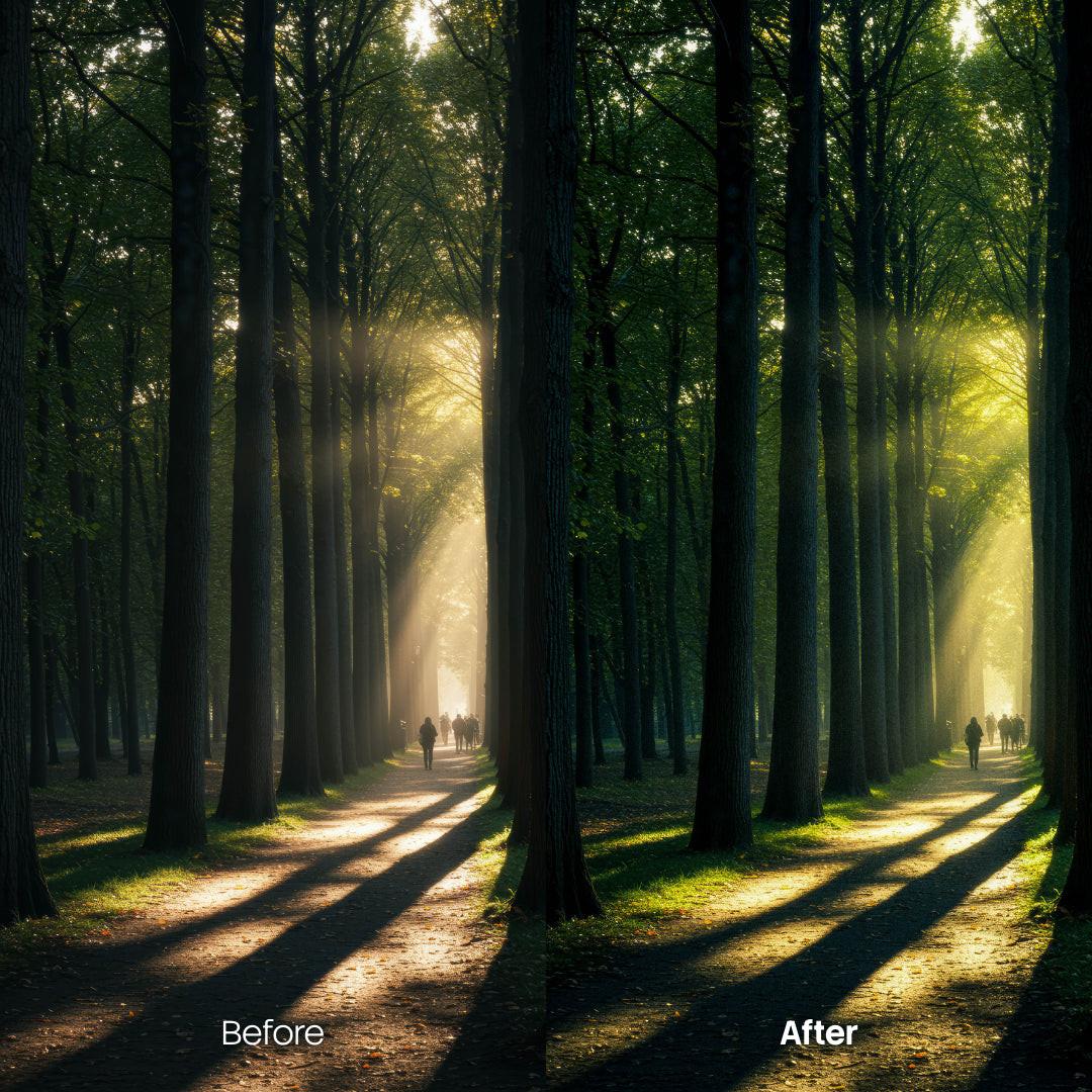 Before and after Dreamy Woodland Lightroom preset edit