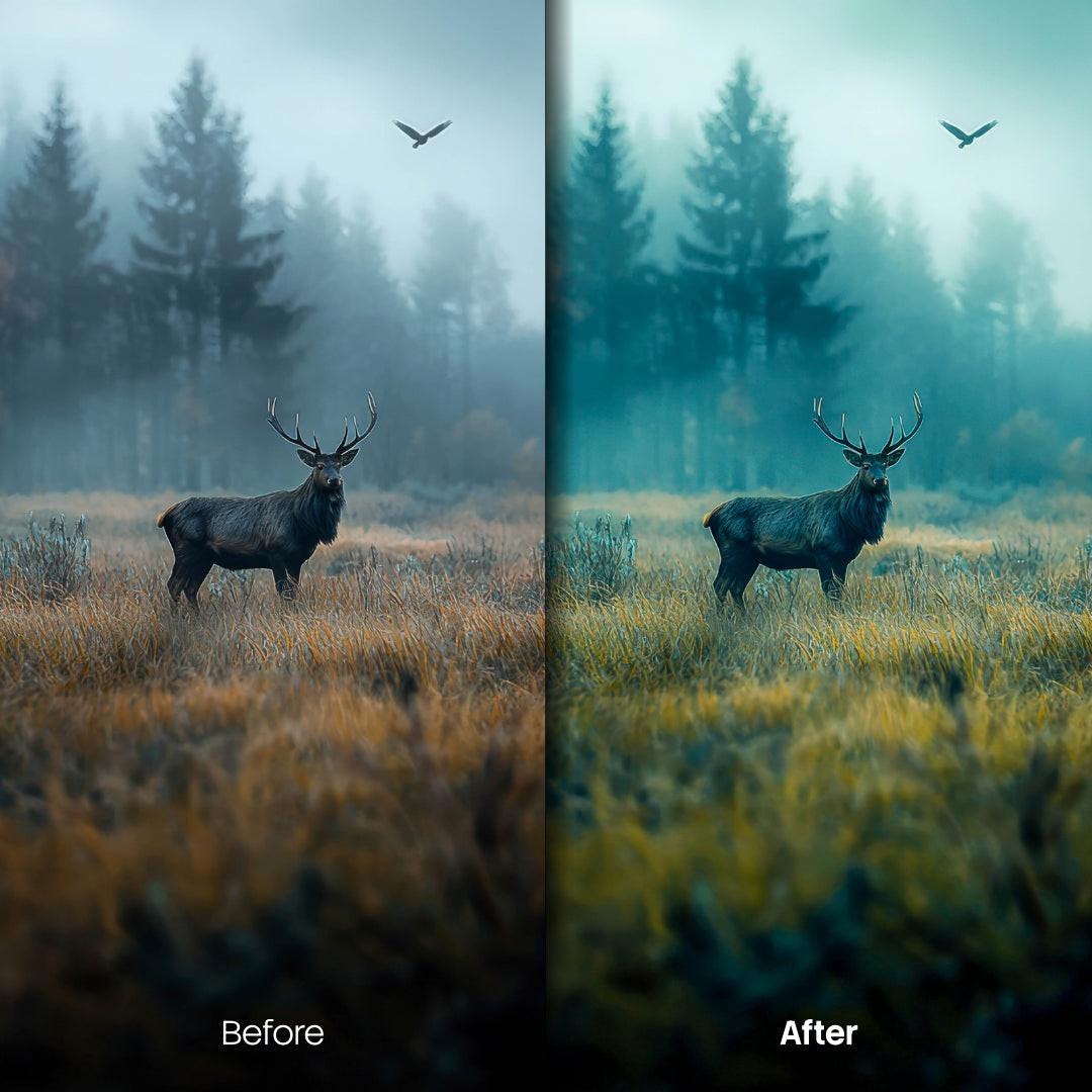 Forest Glow XMP presets color grading preview