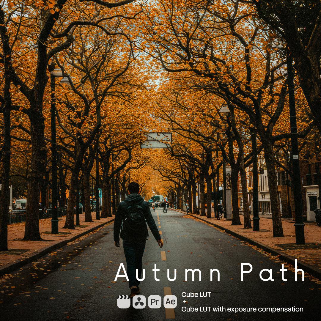 Autumn Path LUT Pack preview