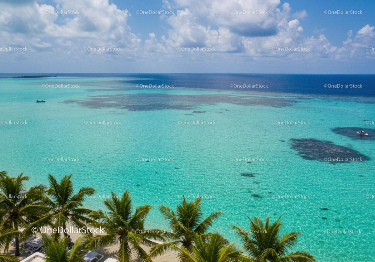 Tropical Paradise with Turquoise Water and Palm Trees