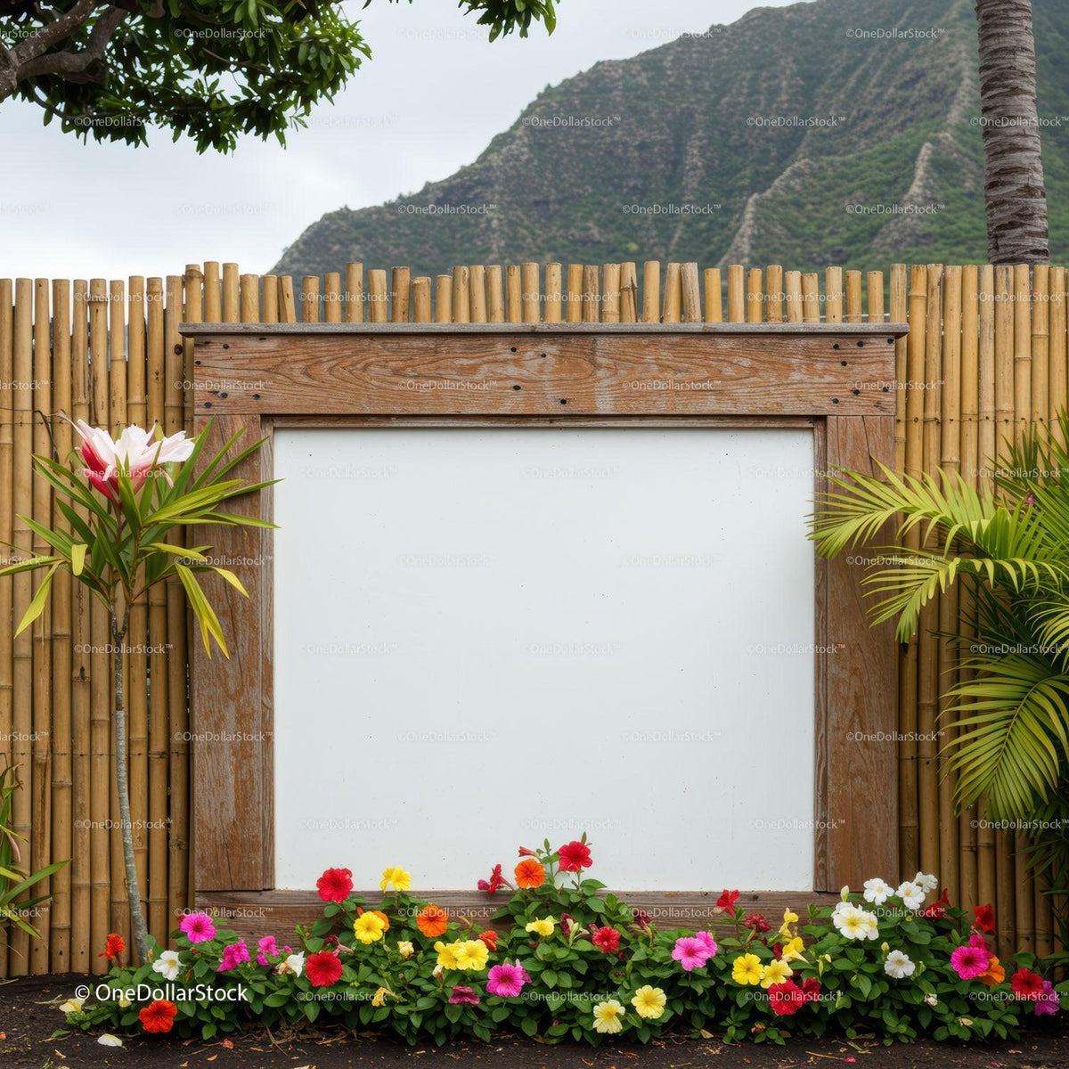 Wooden frame with colorful flowers in tropical garden JPG Mockup Image preview