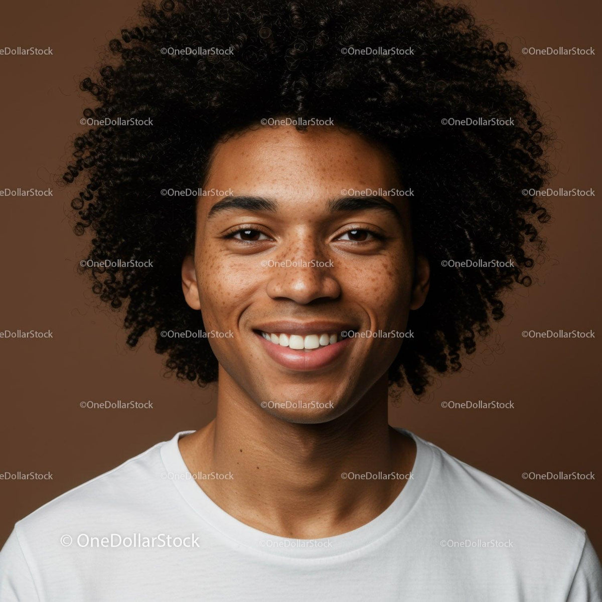 Portrait of a Happy Young Woman with Natural Afro Hair and Freckles